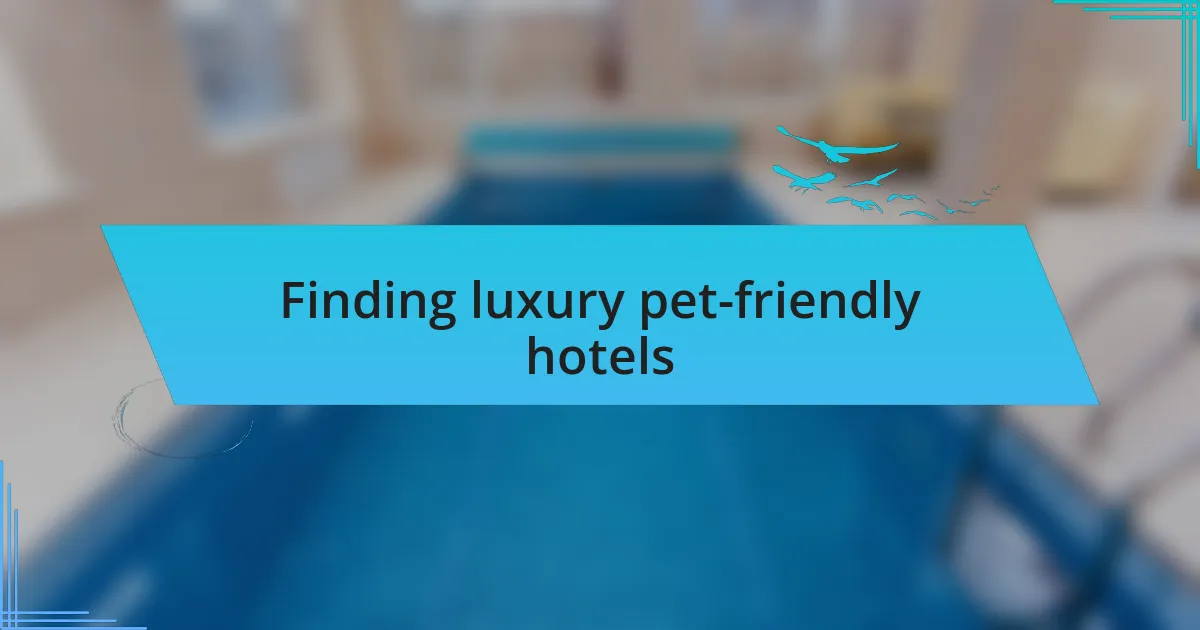Finding luxury pet-friendly hotels