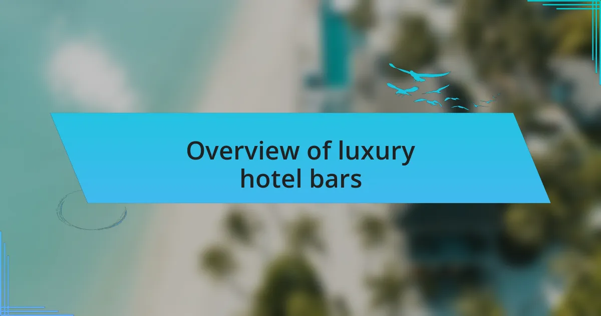 Overview of luxury hotel bars
