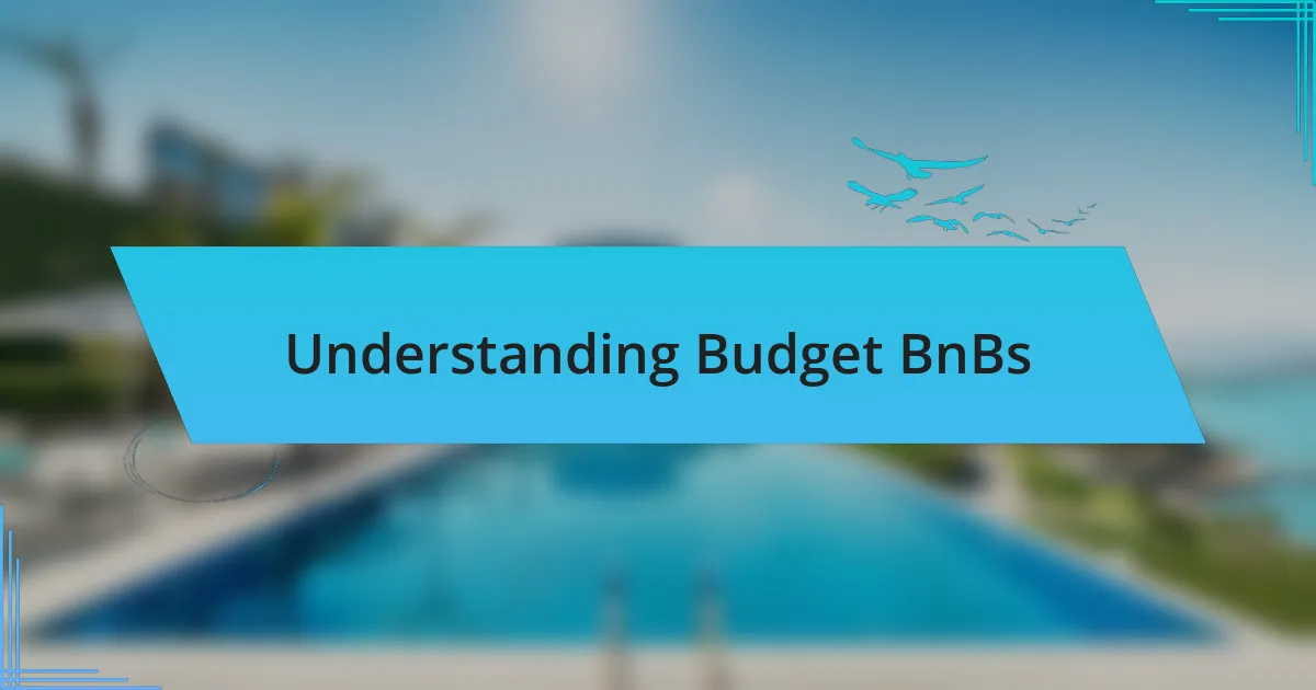 Understanding Budget BnBs